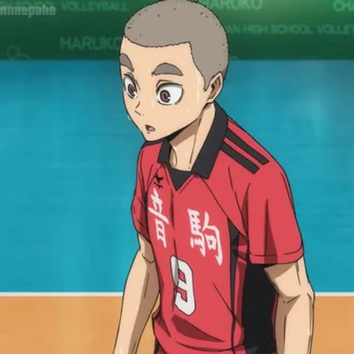 Tamahiko Teshiro